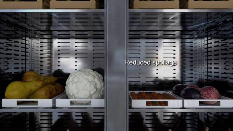Food Waste