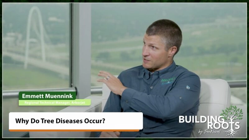 Why Do Tree Diseases Occur?
