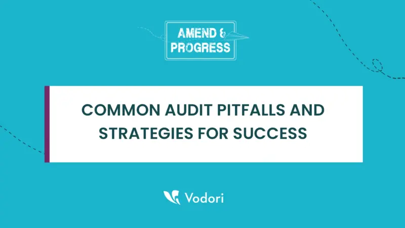 audits