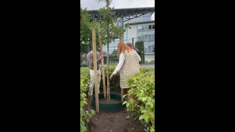 roots of growth